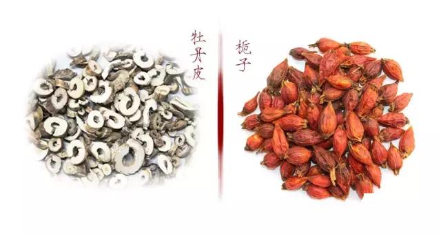 加味逍遥丸的五大奇效和副作用,加味逍遥丸是补益药吗