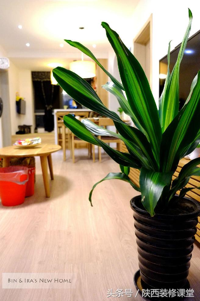 日式muji风享受清新舒适生活,muji原木风温馨小家