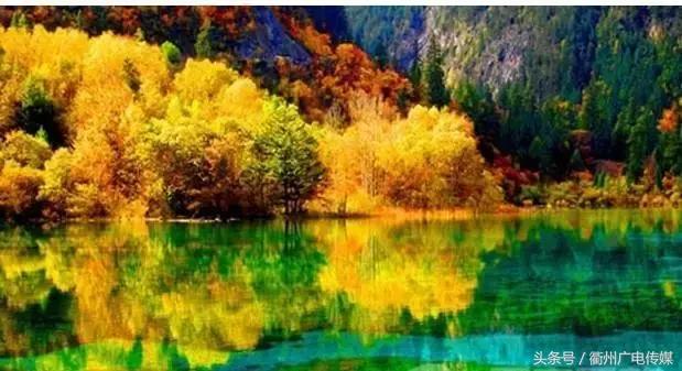 不去韩国游，那去哪玩？衢州旅行社抛出“白菜价”