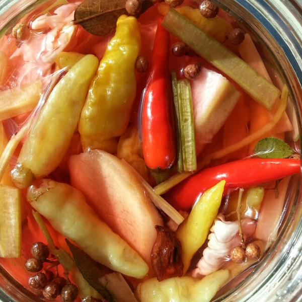 怎样做出美味健康的四川泡菜,如何做四川泡菜好吃又简单的