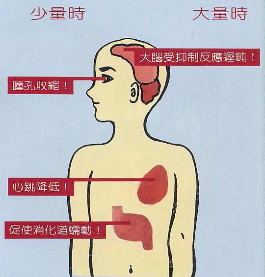 槟榔加酒快活似神仙,槟榔到底有啥秘密呢