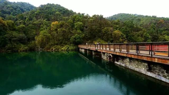 广州游玩攻略一天排行榜,广州免费景点大全排名榜