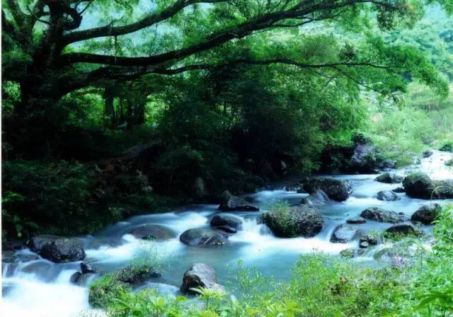 广州游玩攻略一天排行榜,广州免费景点大全排名榜