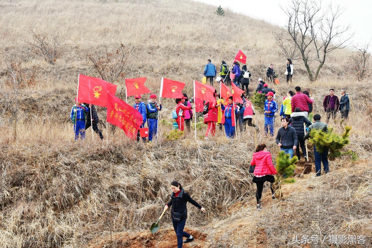 义务植树与创建森林城市,共建文明城市小学生