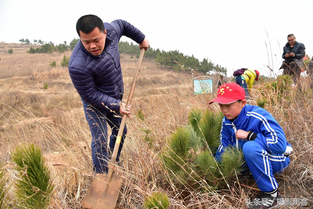 义务植树与创建森林城市,共建文明城市小学生