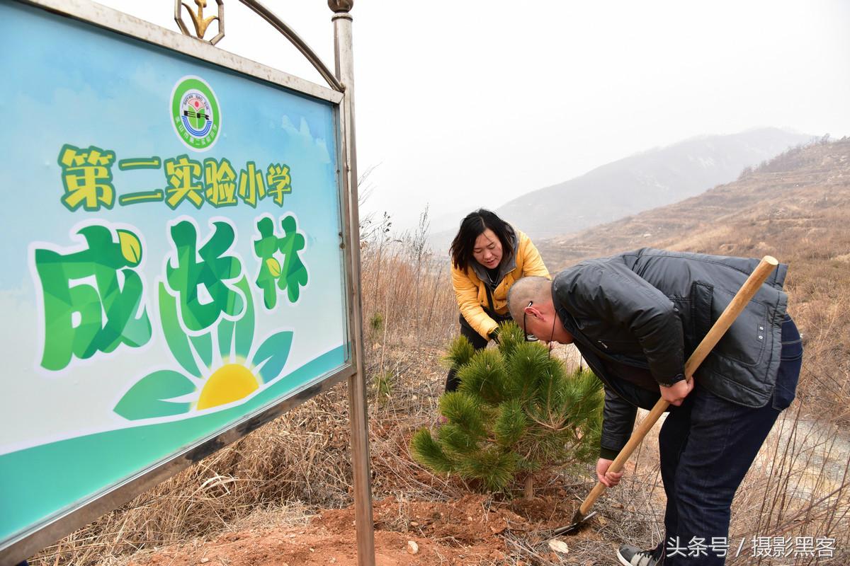 义务植树与创建森林城市,共建文明城市小学生