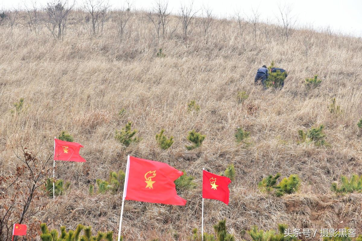 义务植树与创建森林城市,共建文明城市小学生