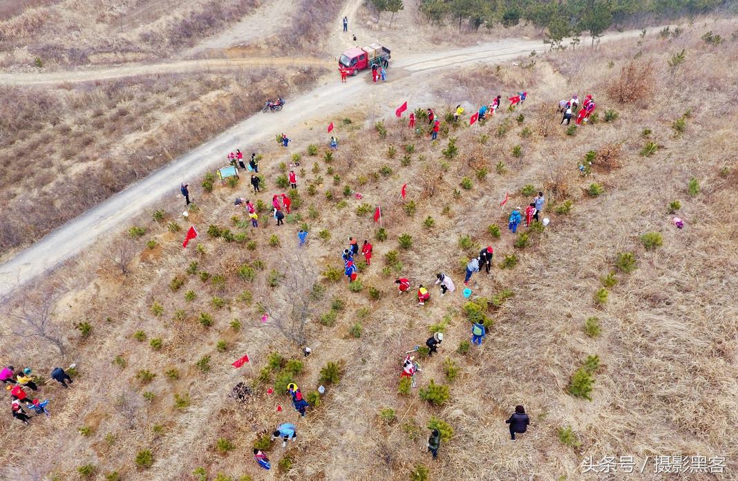 义务植树与创建森林城市,共建文明城市小学生
