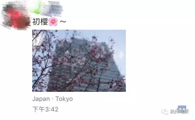 一天吃8顿算啥!回我老家青岛,带你吃上24小时!