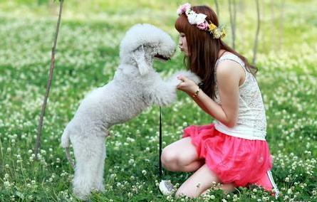 故事:女儿天天牵狗逛街,瘫痪老爹锁在屋内臭不可闻