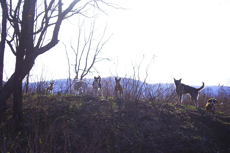 探访将军洞,探秘将军洞