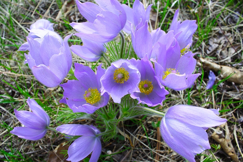 探访将军洞,探秘将军洞