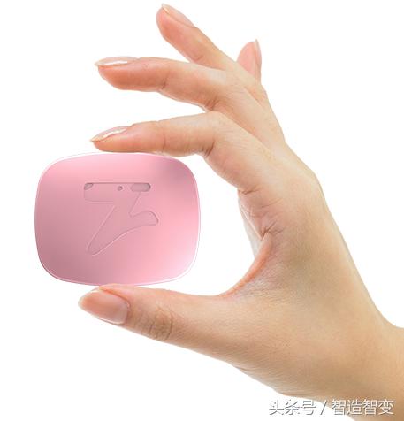 一只猫一套房子值钱吗,一只猫一套房子值多少钱