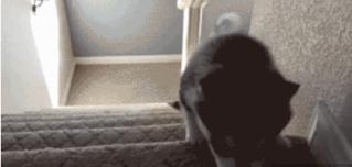 开心笑话男孩,关于脚臭脚气搞笑笑话