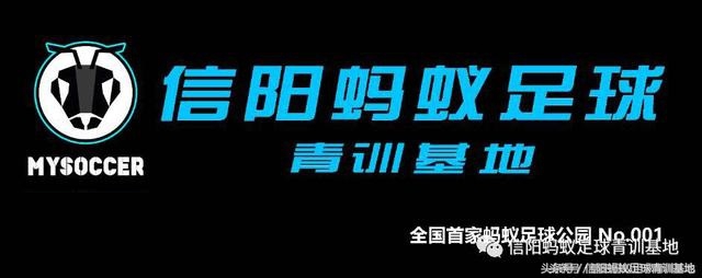 固始奥体中心足球比赛视频直播,2019年固始县足球比赛