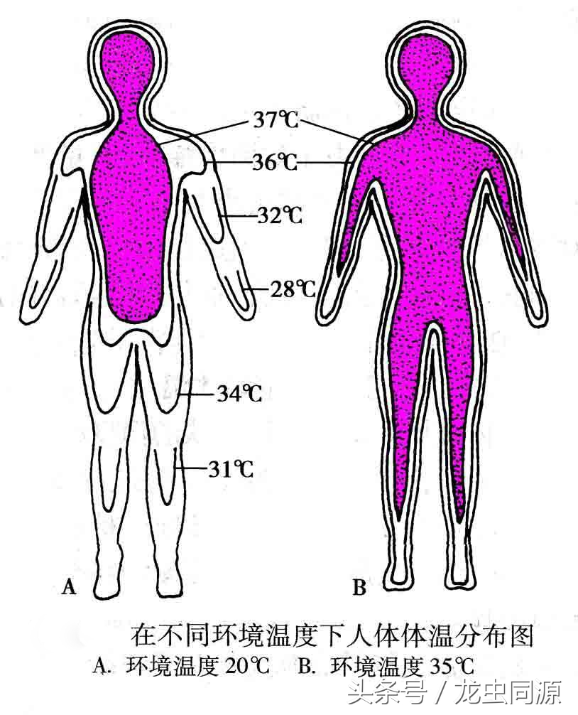 宝宝发烧应该怎么降温合适,怎么样判断宝宝发烧了