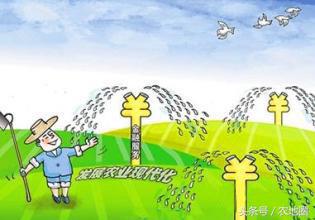 今年的玉米为什么降价,今年玉米价格暴跌原因