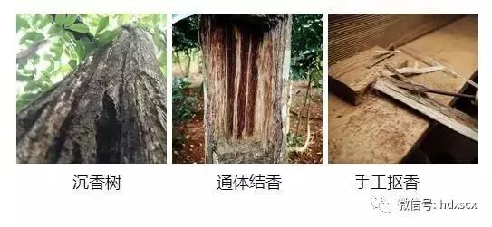 哪种沉香做手串好,哪种沉香可做手串