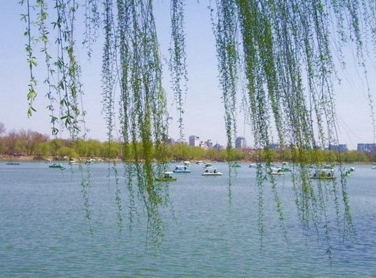 春游总结语,春游计