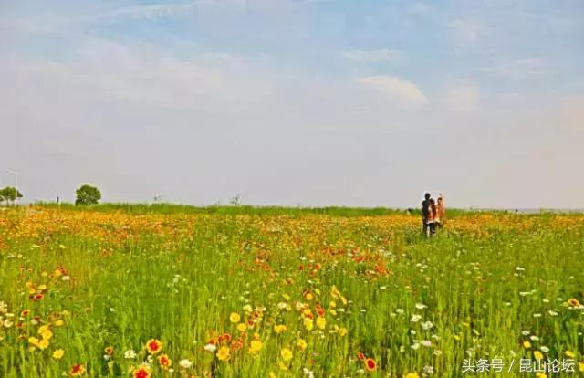 厉害了昆山陆家,厉害了江苏