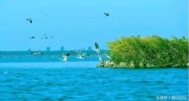 厉害了昆山陆家,厉害了江苏