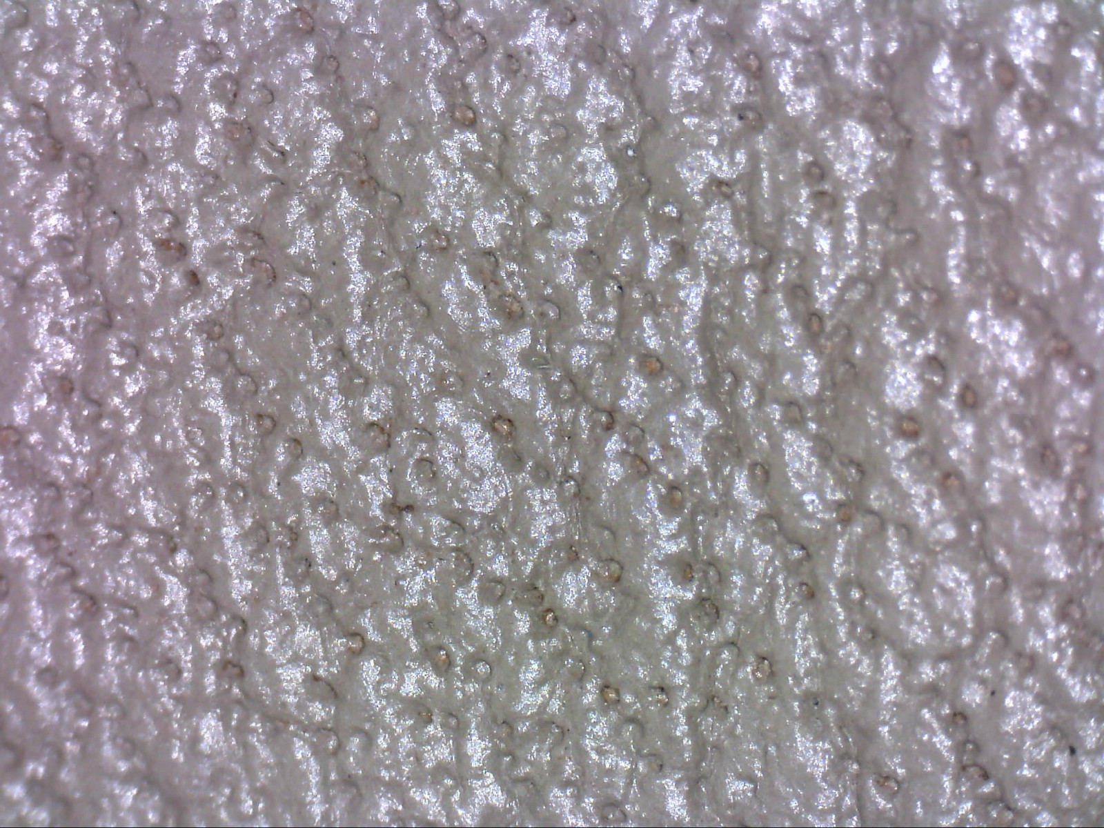 智能手表是我们无法想象的,智能手表买了感觉没啥用