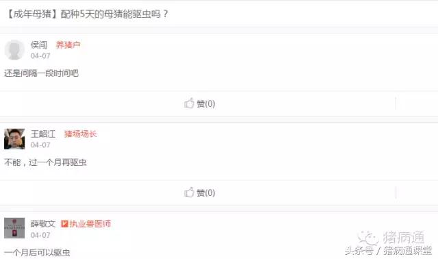 猪疥螨病和猪驱虫的有效防治方案！