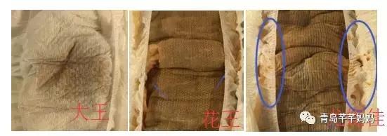 花王和大王天使纸尿裤哪个好,日本花王妙而舒和日本花王区别