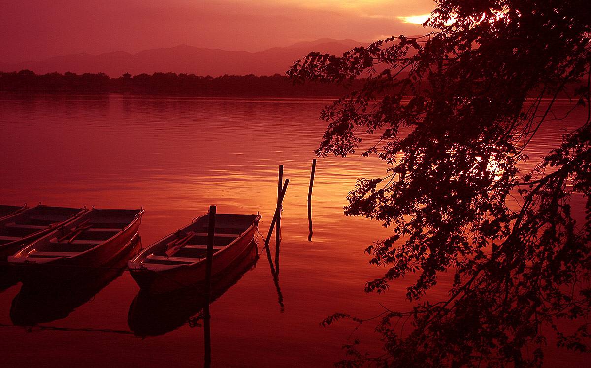 五绝硕果,绝美诗词冷门七绝