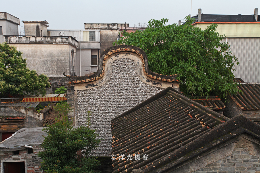 有人说榕树容财不容人是什么意思,榕树不容人的迷信说法