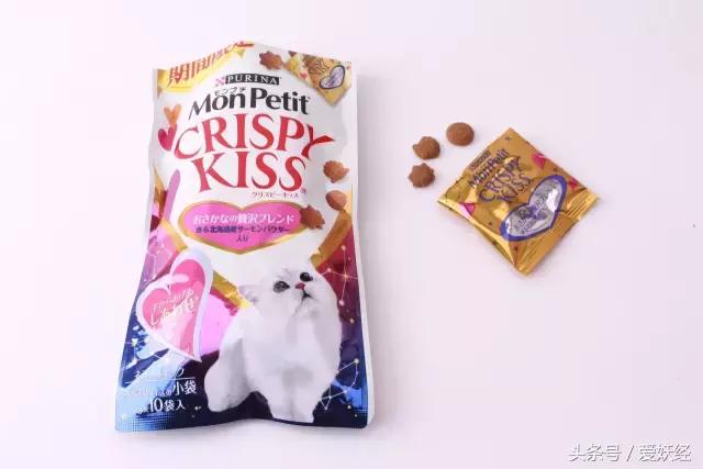 宠物洁牙方法,无麻醉宠物洁牙教程