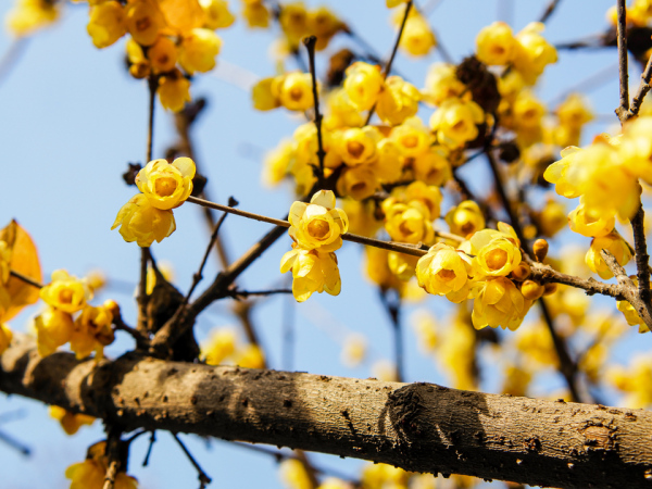 小蚁m1怎么操作,小蚂蚁m1怎么样