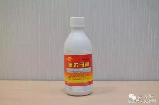 对虾纤毛虫处理方法,对虾有纤毛虫有什么影响吗