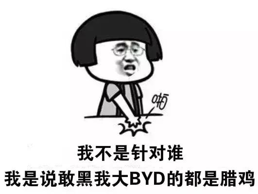 深八中国汽车界三大神秘组织之:迪粉