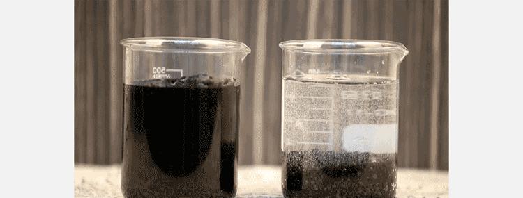 客人来了就不想走,客人来了不想走