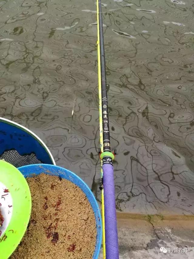 自己对渔获还算满意吧?