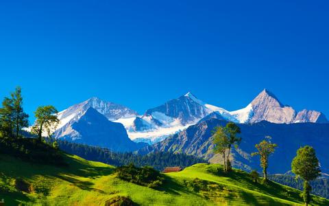 白癜风抗复发治疗需要吃什么药,节段型白癜风怎么治疗效果最好