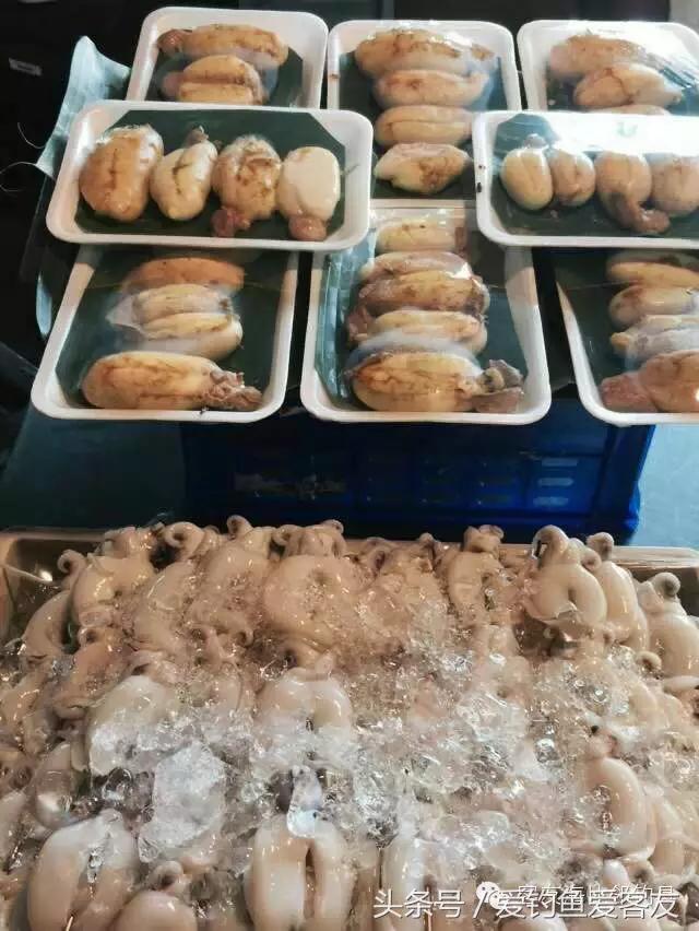 泰国巨骨舌鱼钓场位置,泰国钓鱼钓巨物位置