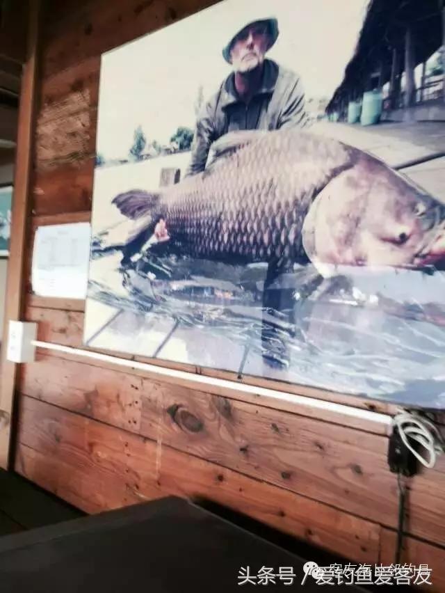 泰国巨骨舌鱼钓场位置,泰国钓鱼钓巨物位置