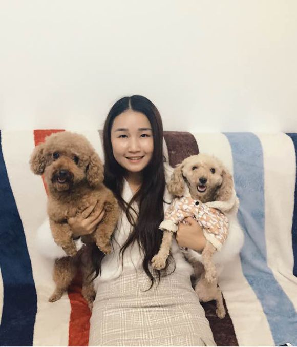 捡到的残疾泰迪狗,捡到被遗弃的泰迪