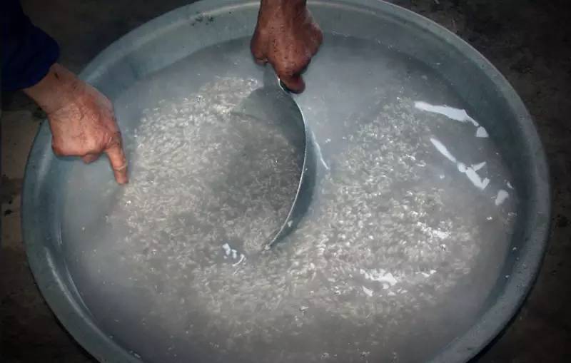 糖忆·糖艺（三）：一吹一塑里的秘籍