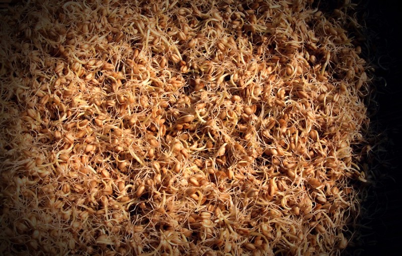 糖忆·糖艺（三）：一吹一塑里的秘籍