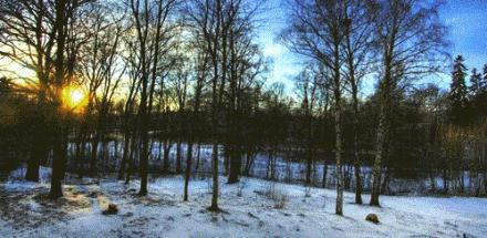 成语分类积累整理大全,最全成语分类汇总共分35大类