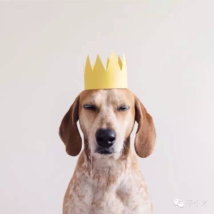 过年给公婆买什么礼物合适,过年应该给爸妈公婆买什么礼物