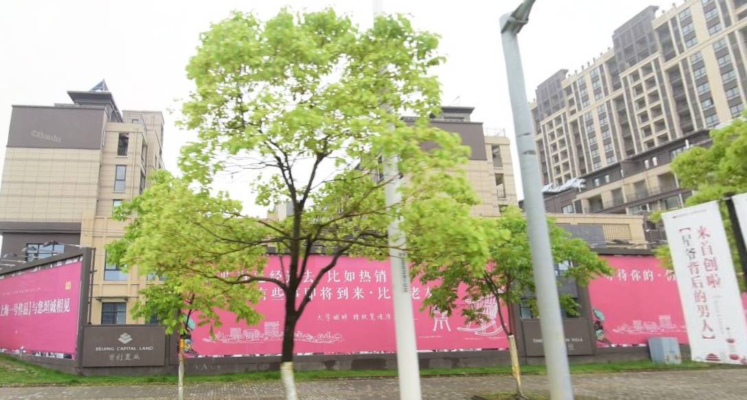 松江物业保洁哪家好,松江区物业管理服务