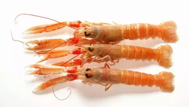 北极甜虾夏天是头籽还是腹籽,北极甜虾原生虾长啥样