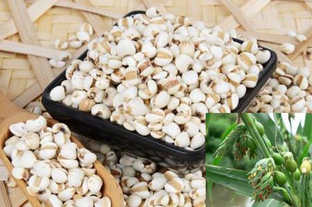 回南天防潮湿最有效的方法,回南天快速解决屋里潮湿方法