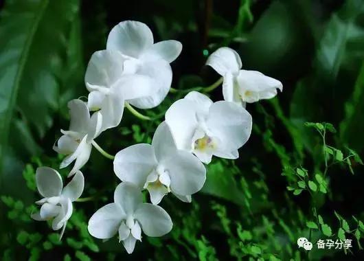 想要了解卵巢功能，从这三方面来看哦！