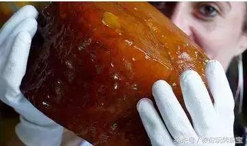 俄罗斯发现“龙血”琥珀,3公斤就卖上千万!