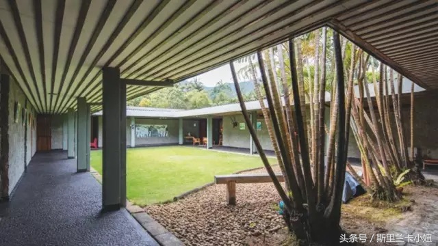 富二代、终身未婚、同性恋……这位混血锡兰人是“斯里兰卡之光”